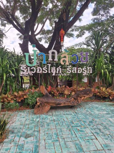 San Sai Resort | ป่ากล้วยริเวอร์ไซด์รีสอร์ท