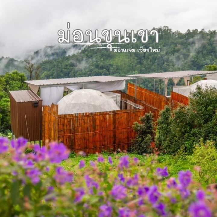 Mae Rim Other | ม่อนขุนเขา