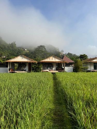 Bo Kluea House | สะปันดีวิว Sapan Dee View บ่อเกลือ น่าน
