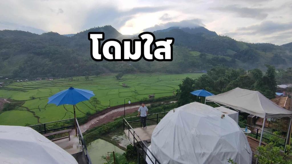 Bo Kluea Other | เวนิสบ้านเวร โดมใส