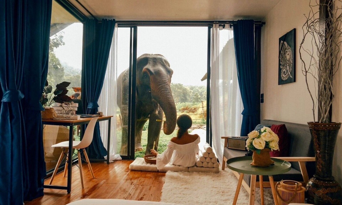 Mae Wang Resort | 3Pok Resort Chiang Mai