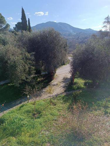 Corfu Bed & Breakfast | 45 m² Bed and breakfast ∙ 1 bedroom ∙ 3 guests