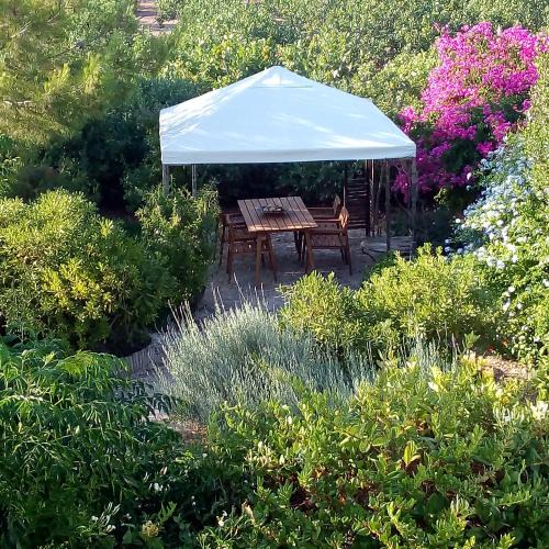 Aegina Town House | Aegina's Oasis