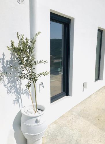 Tinos House | AESIS