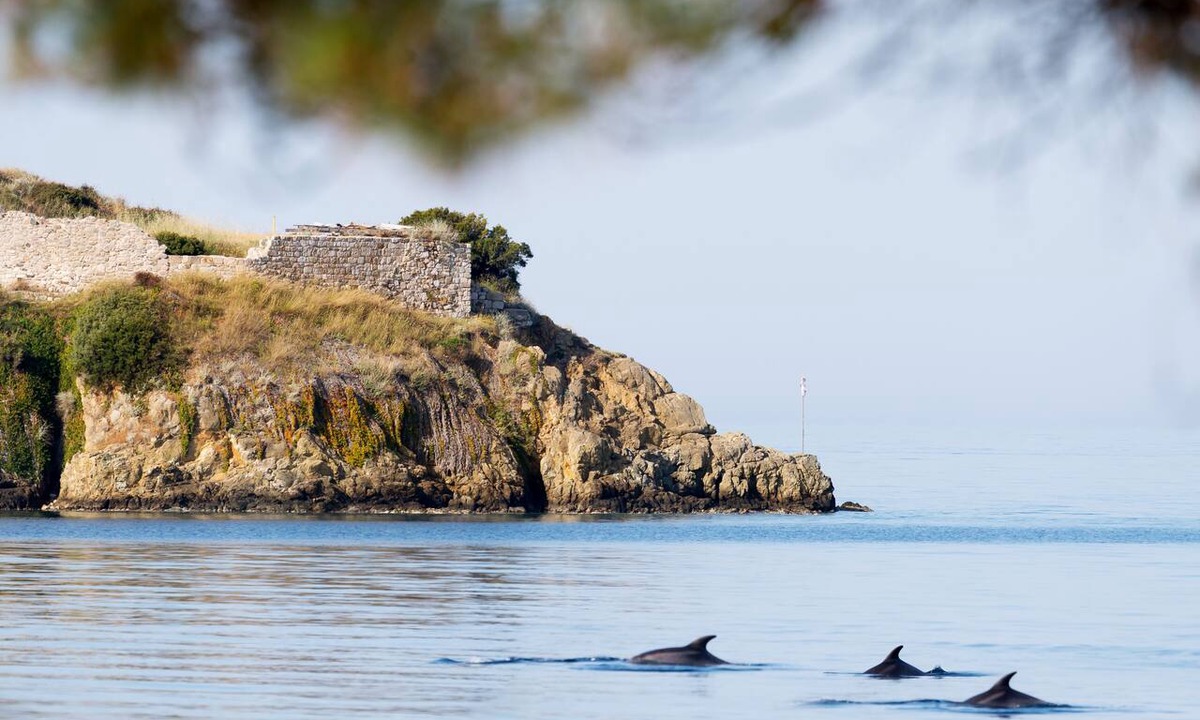 Toroni Hotel | Akti Toroni Boutique Hotel