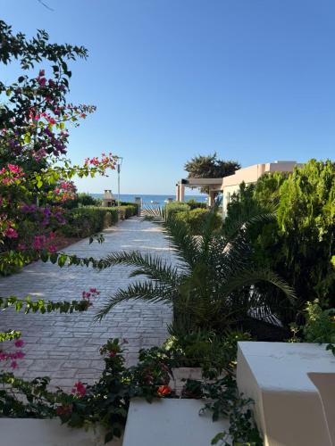 Lardos Apartment | Amaryllis Beach House