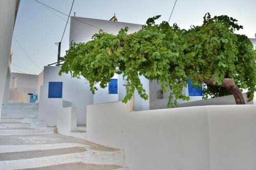 Aegiali Hotel | Anatoli Rooms