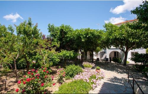 Myrina Apartment | Anesis Studios & Apartments Plati Beach, Lemnos