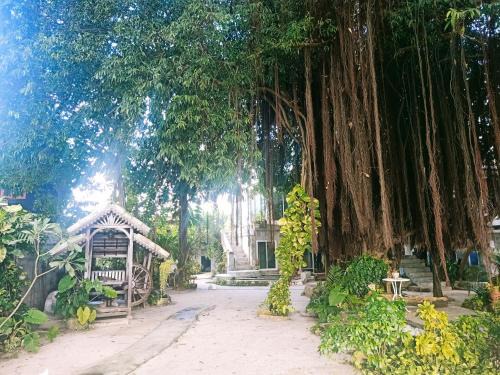 Baan Tai House | Anodash Homestay