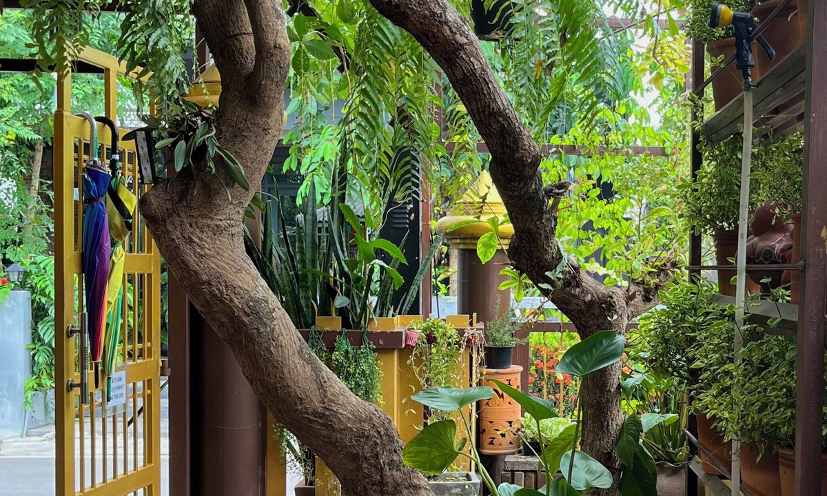Wieng House | Baan Baramee House