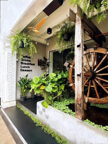 Old Phuket Town Hostel | Beanstay hostel