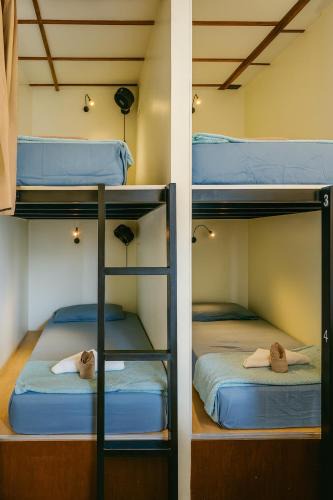 Siem Reap Hostel | Blue monkey - Bouldering Guesthouse