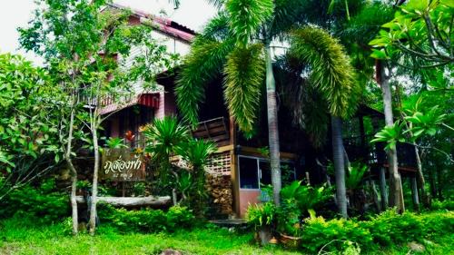 Kaset Sombun House | Blue Sky Hill Homestay Chaiyaphum