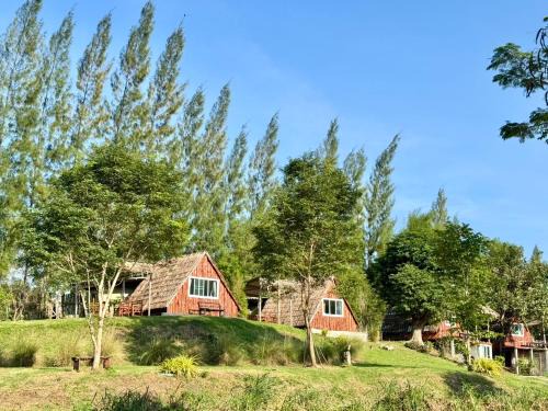 Suan Phueng Other | Camping Lake Mountain