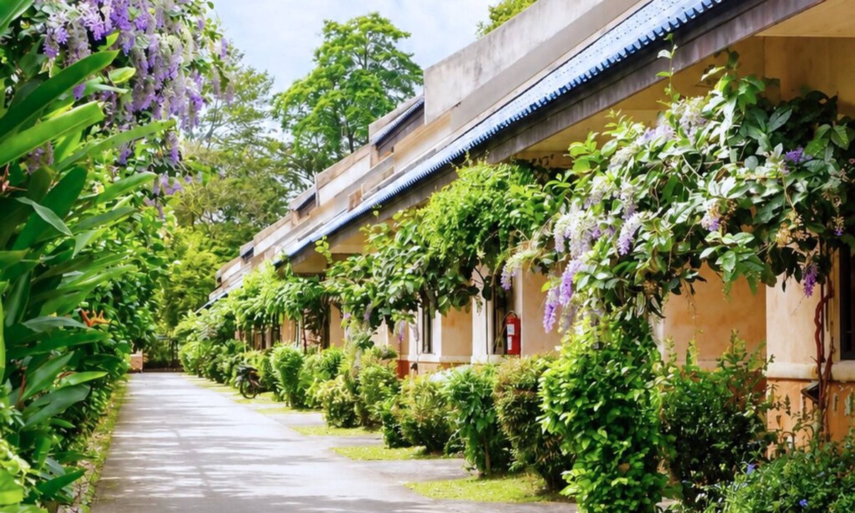 Hat Yai Hotel | Chalet De Palm Resort Hatyai