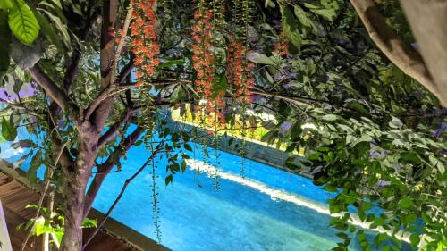 Sen Sok Hotel | Denalee Villa