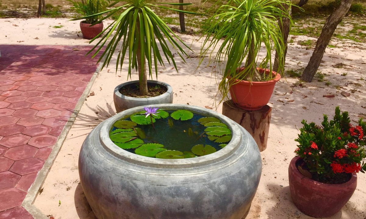Prasat Sambour Cabin | Dracaena Resort