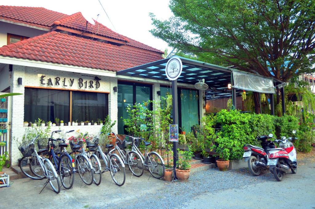 Ayutthaya Hostel | Early Bird Hostel Ayutthaya