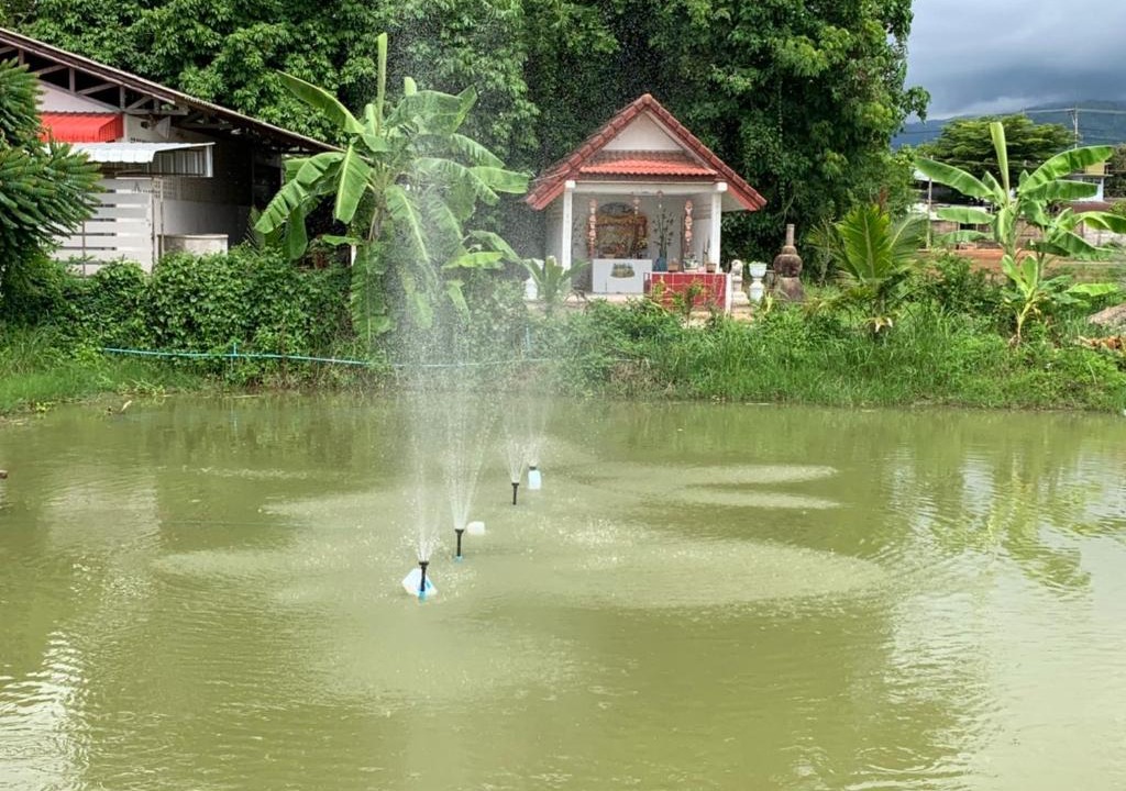 Nang Lae House | Family Vacation Chiangrai