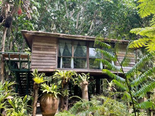 San Sai Resort | Fern Paradise