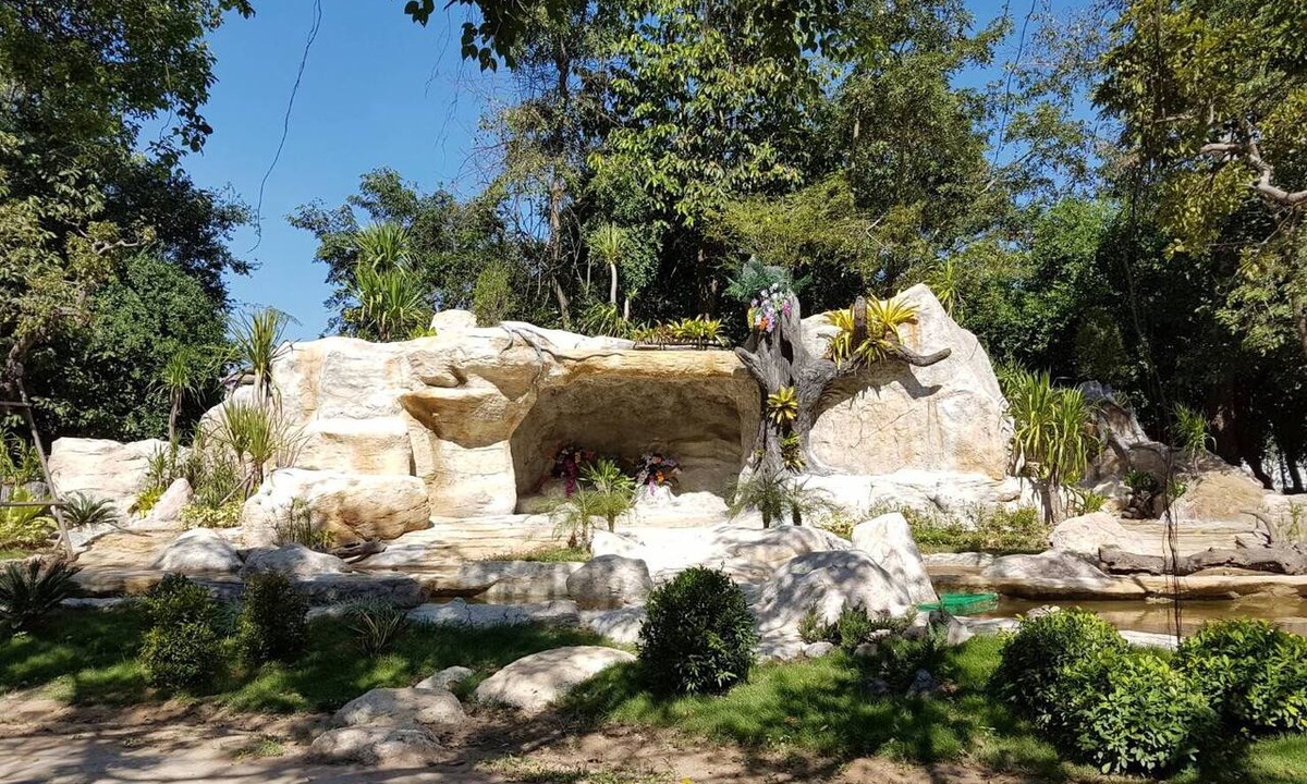 Roi Et Hotel | Forest