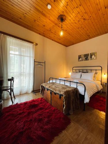 Vamvakou House | Forrest Guesthouse