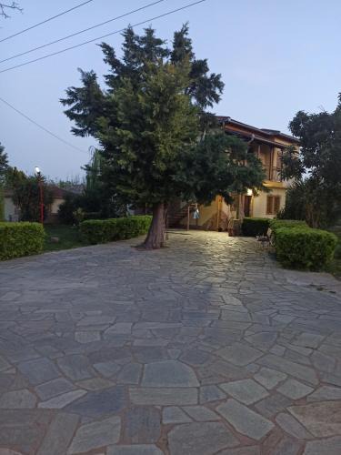 Ano Lechonia Apartment | Fotini's Paradise