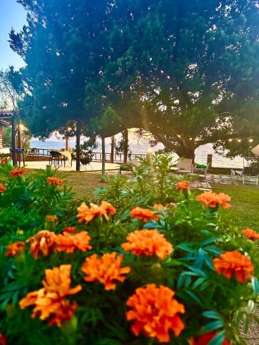 Pyrgos Apartment | Genari Beach Apartments -Family sea view apartment