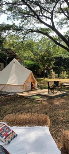 Phaya Yen Other | Glamping tent fan room