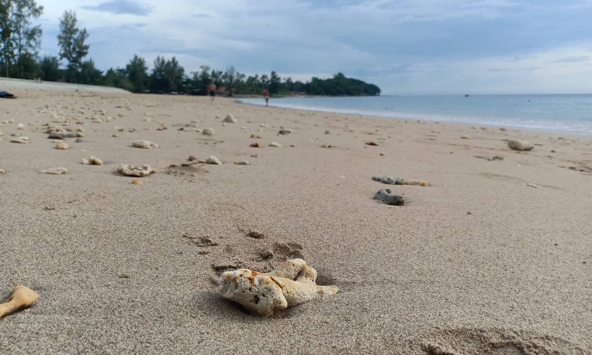Ko Lanta Hotel | Grand House