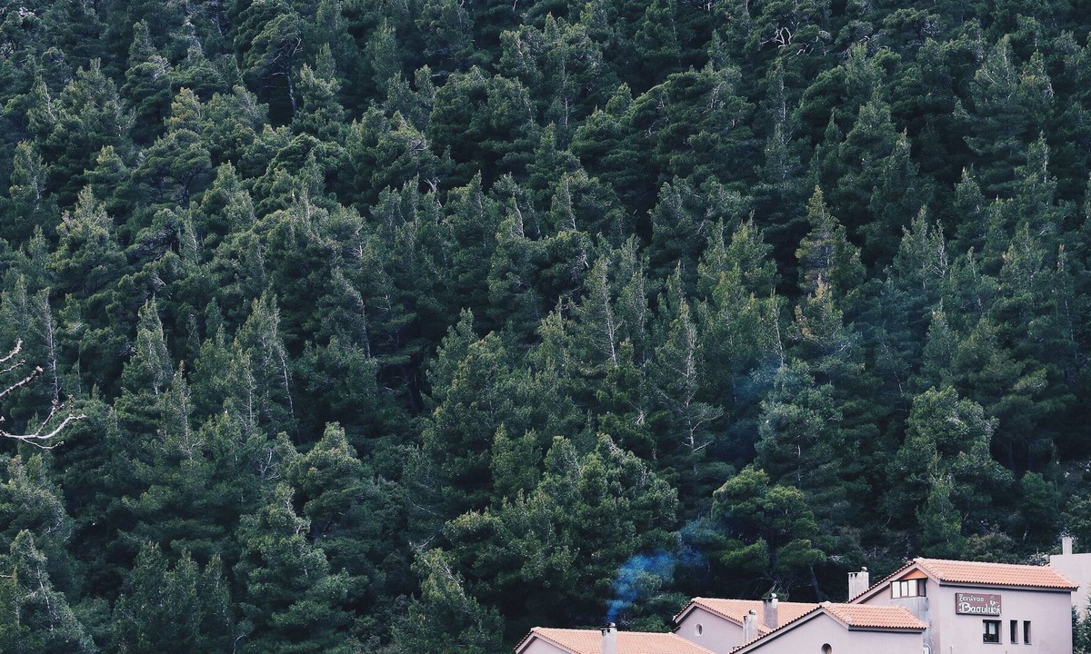 Steni House | Guesthouse Vasiliki