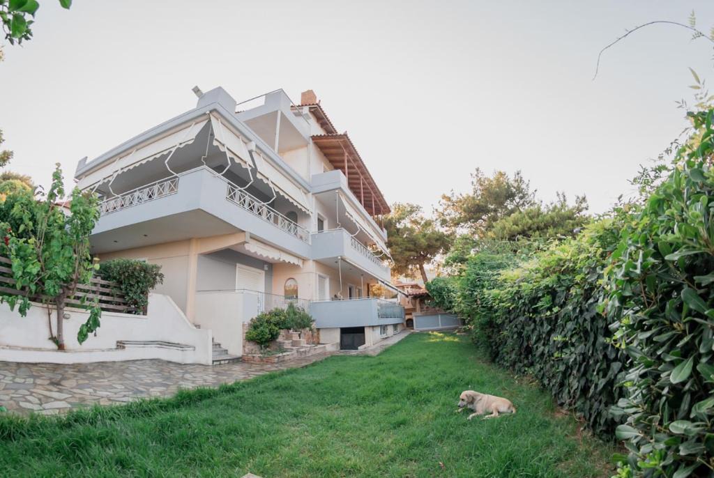 Spata-Artemida House | Helios Residence