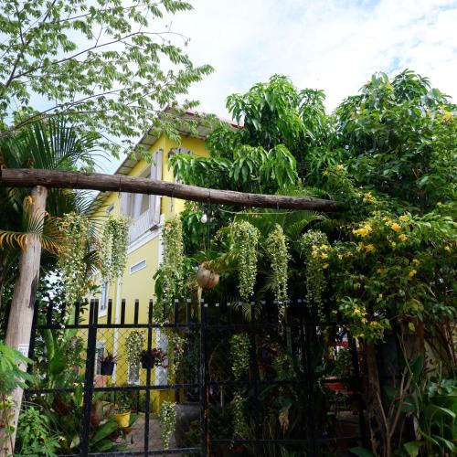 Siem Reap House | Homestay Yellow Natural House