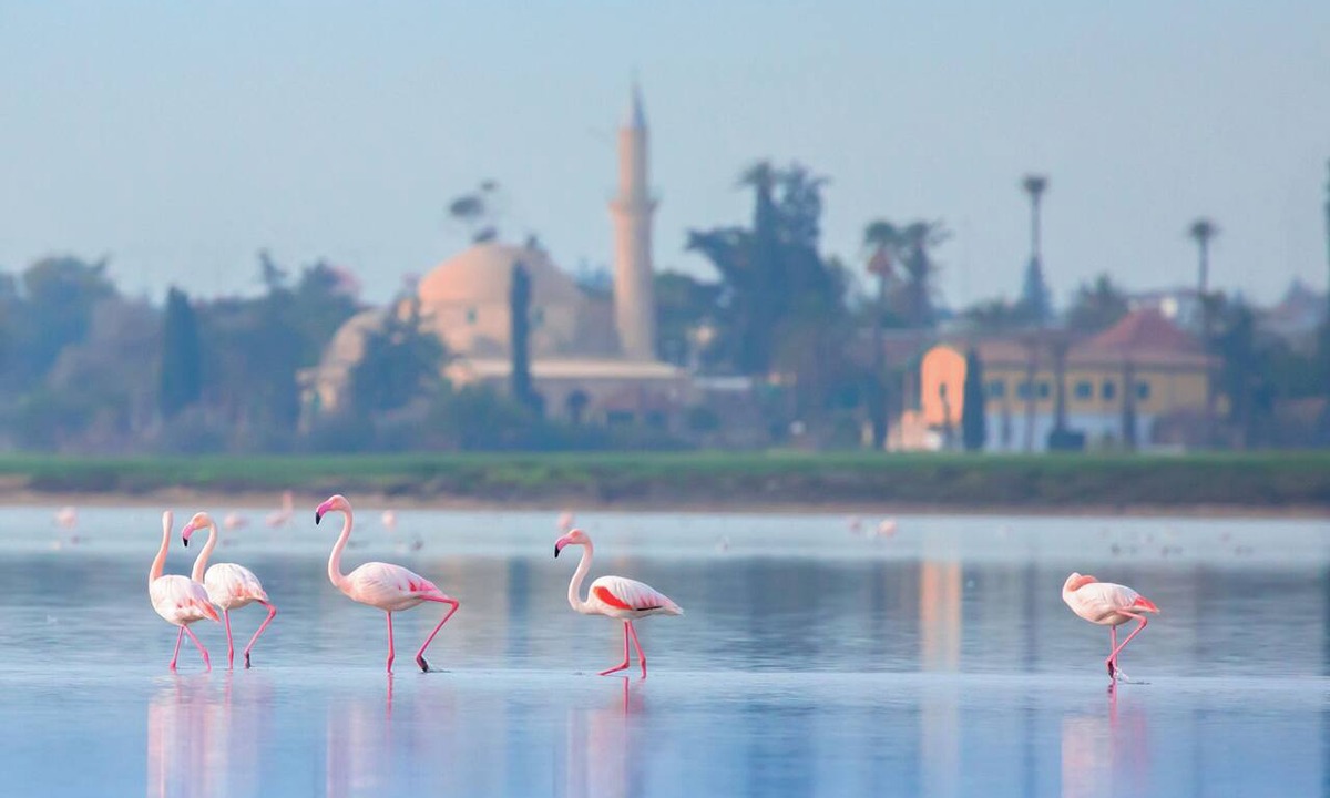 Larnaca City Centre Hotel | Hotel Indigo Larnaca by IHG