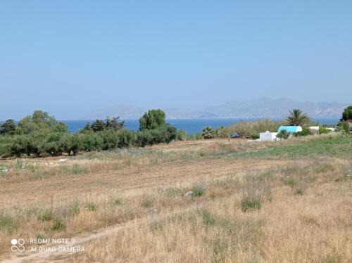 Mastichari Hotel | IASONAS APARTMENTS