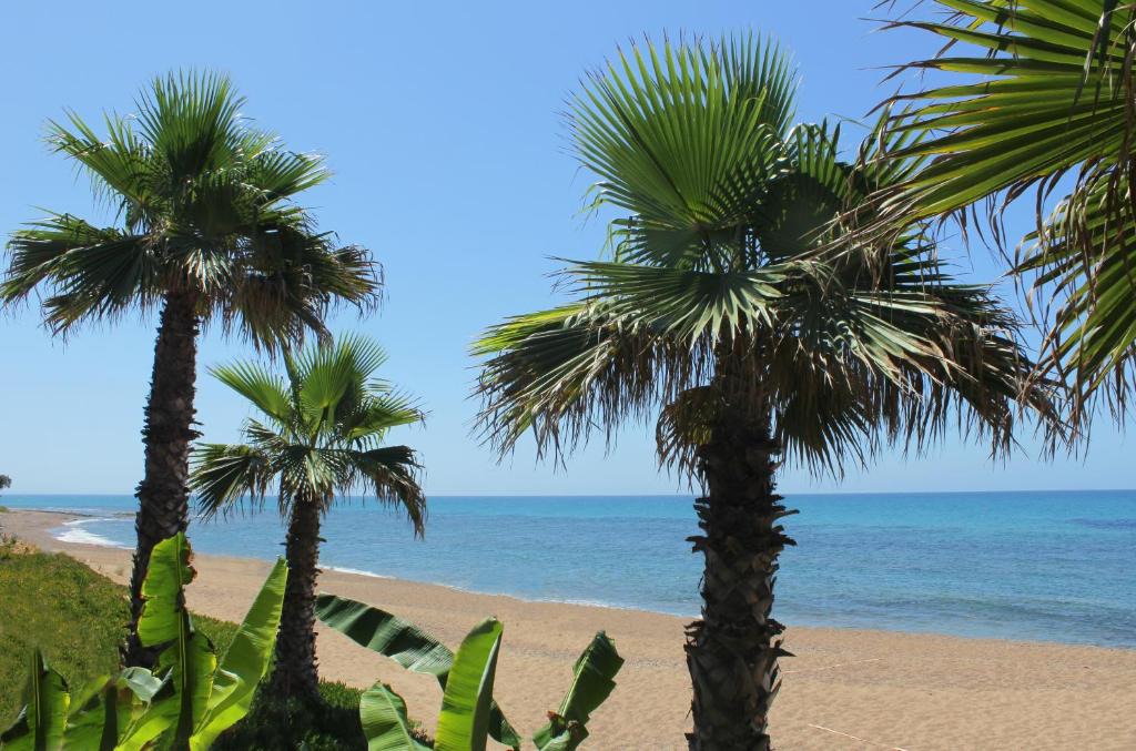 Arcoudi Apartment | Ionion Beach Apartment Hotel & Spa