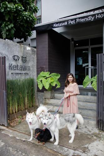 Chiang Mai Hotel | Ketawa Pet Friendly Hotel