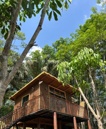 Khlong Sok House | Khao Sok Jungle Roots Resort