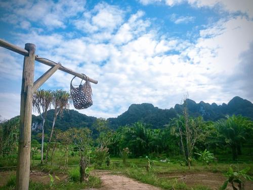 Khlong Sok House | Khaosok Eco House