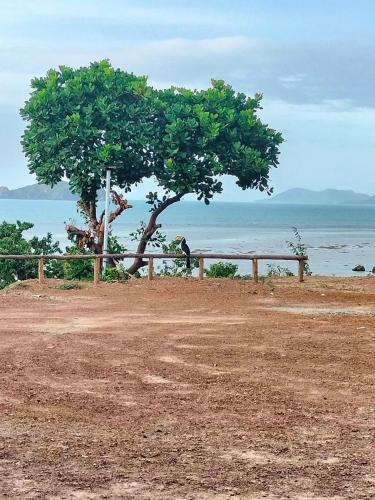 Ko Phaluai Cabin | Koh Phaluay Goodview & Bar