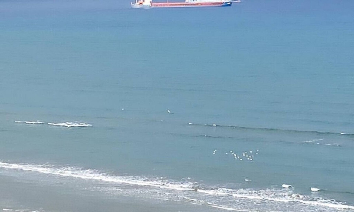 Larnaca City Centre Apartment | Larnaca Seaview Rooms - 3bdr Apt
