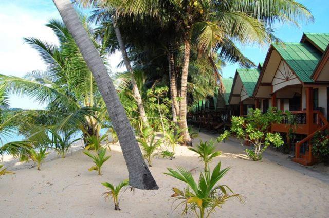 Mae Nam Resort | Lolita Bungalow