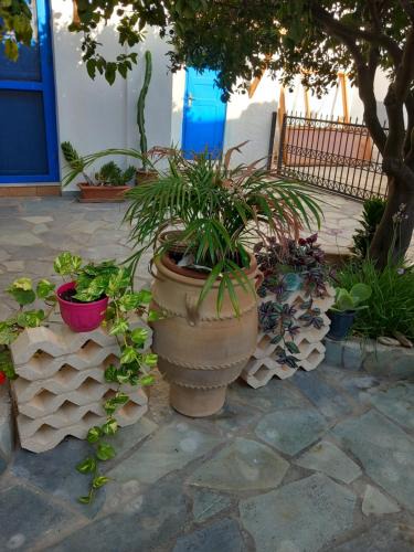 Palekastro House | Meli Mika houses