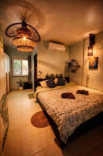 Ko Phi Phi House | MILD ISLAND STAY ROOm