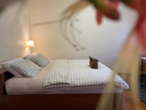 Huay Kaew House | MOODs Lifestyle