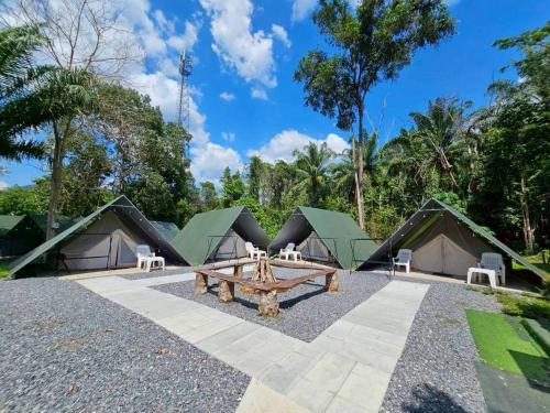 Khlong Sok Hostel | Nahm Khao Sok Hostel and Camping