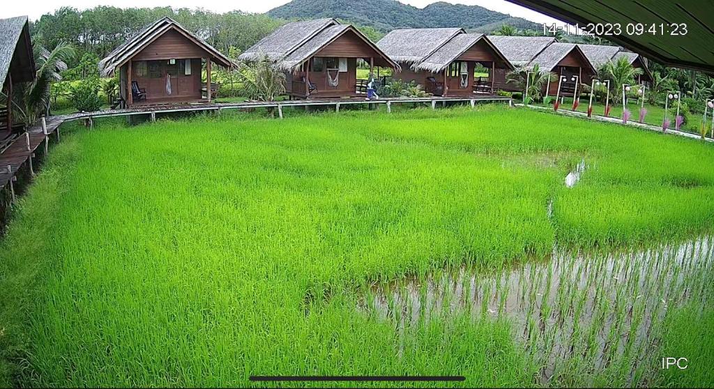Ko Yao House | NammNatawn2