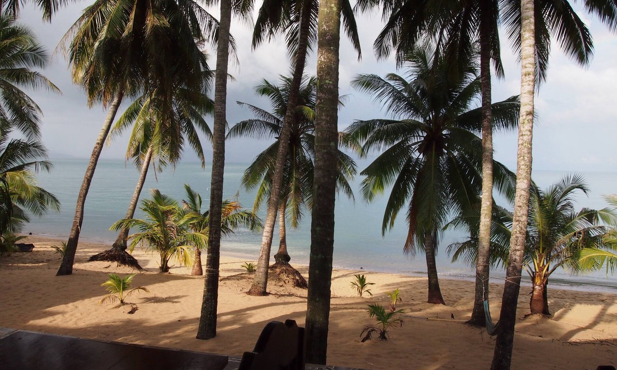Mae Nam Resort | Palm Point Village