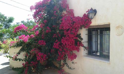 Katochori House | Petra & Elia