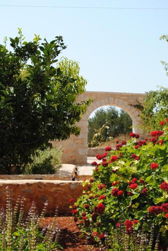 Charouda House | Pirgoi Edem